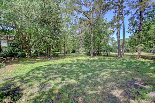 1180 Farm Quarter Road Mount Pleasant, SC 29464 - Photo 32 of 33 1180 Farm Quarter (38)0038
