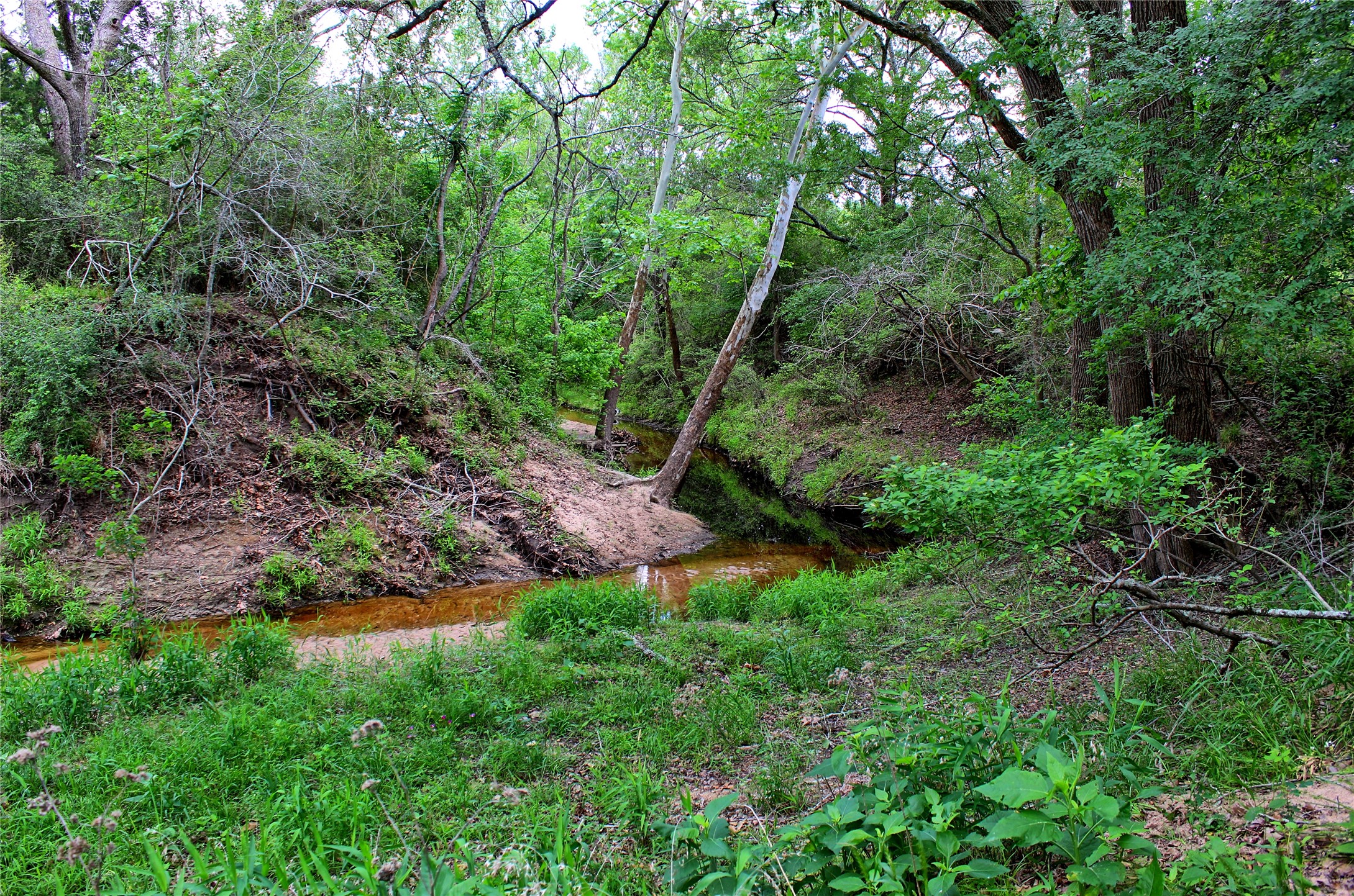 Tbd Harmony Road Weimar, TX 78962 - Photo 20 of 28