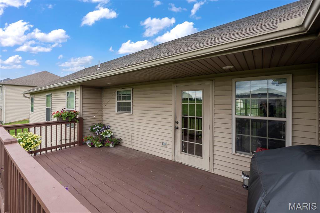 3035 Prairie View Trail Jackson, MO 63755 - Photo 38 of 39