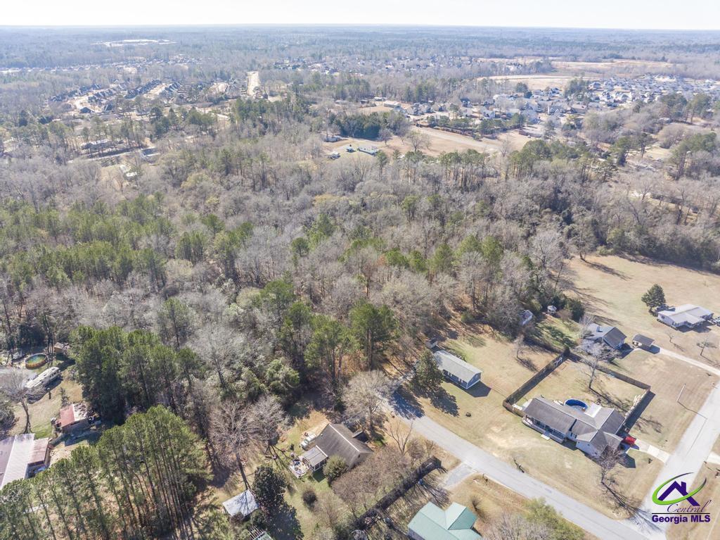 42.5 Old Perry Road Hawkinsville, GA 31036 - Photo 6 of 17