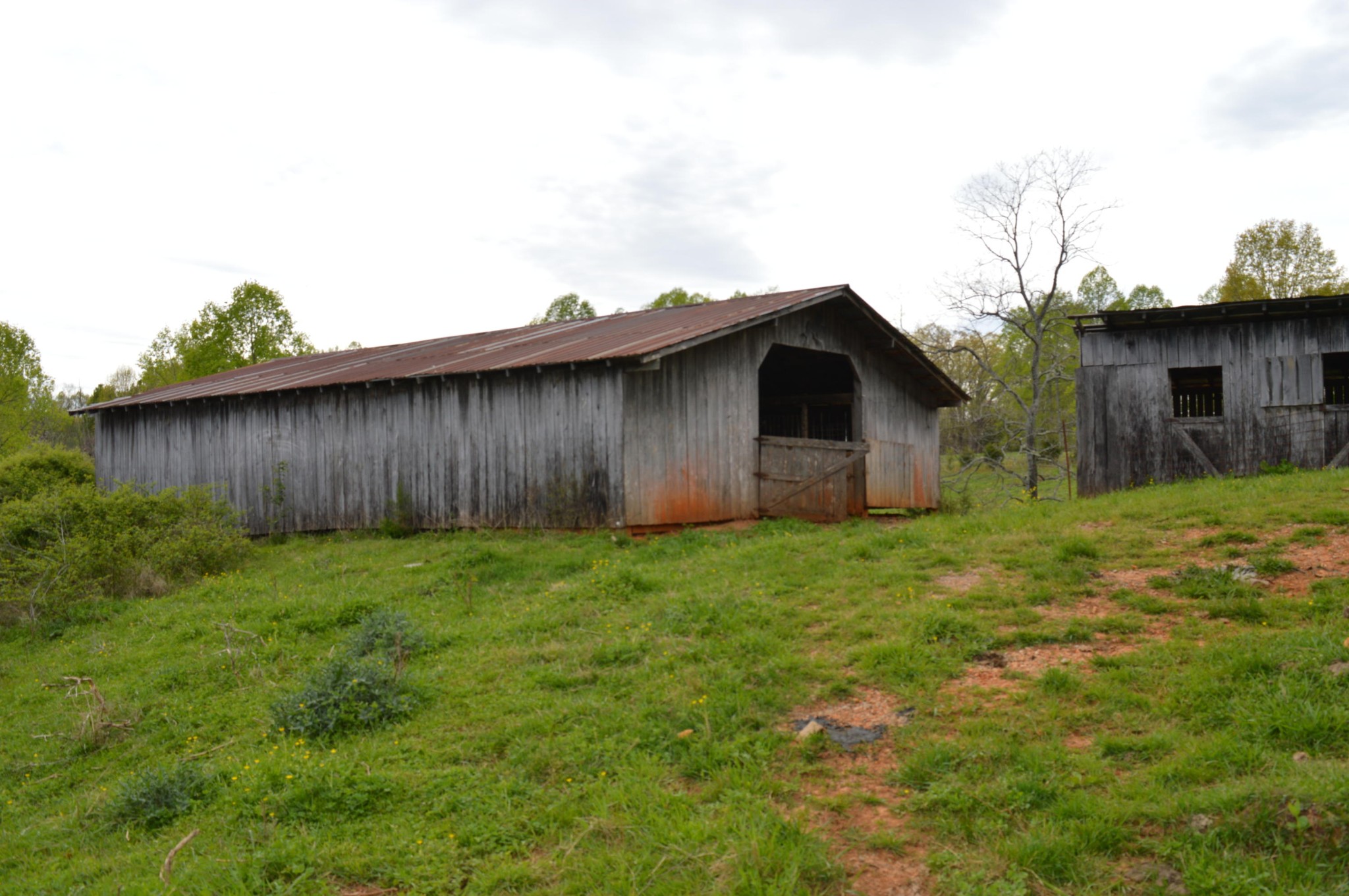 0 Davis Road Livingston, TN 38570 - Photo 15 of 16 a backyard of a house with lots of green space