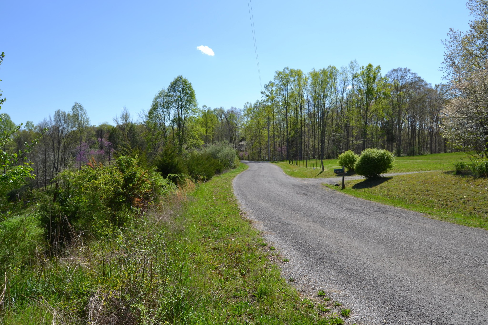 0 Davis Road Livingston, TN 38570 - Photo 4 of 16 a green field with lots of trees in the background