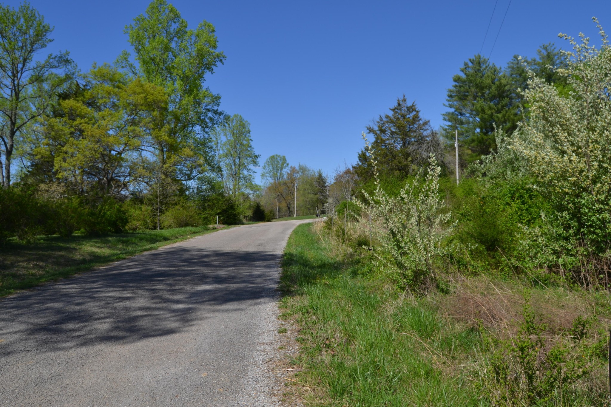 0 Davis Road Livingston, TN 38570 - Photo 5 of 16 a view of a street view
