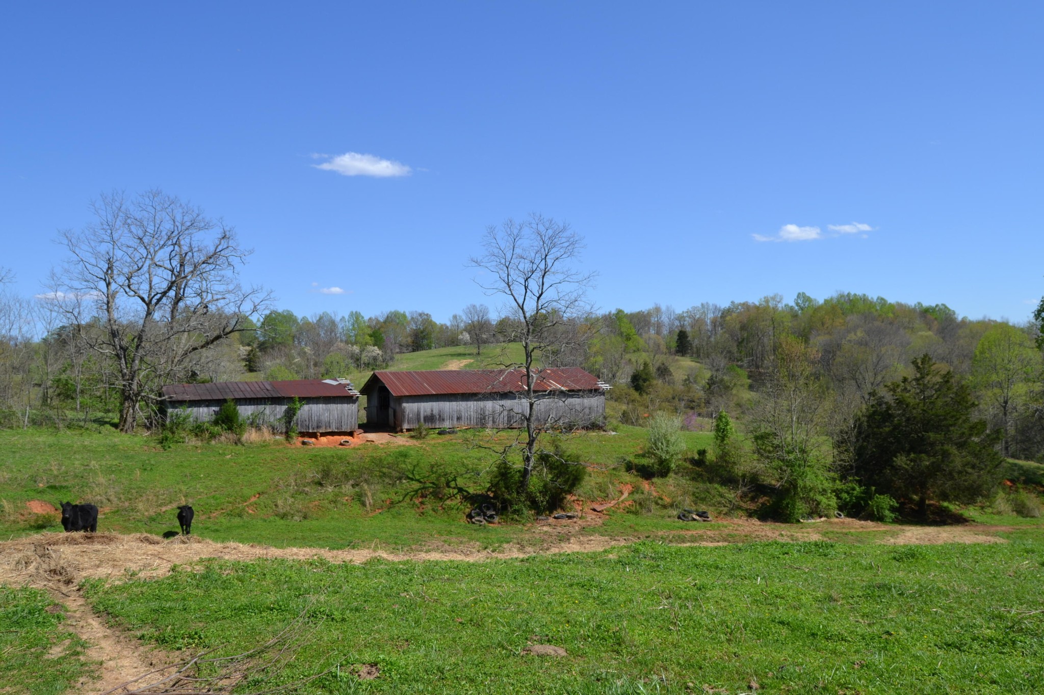 0 Davis Road Livingston, TN 38570 - Photo 7 of 16 a view of a garden with a house