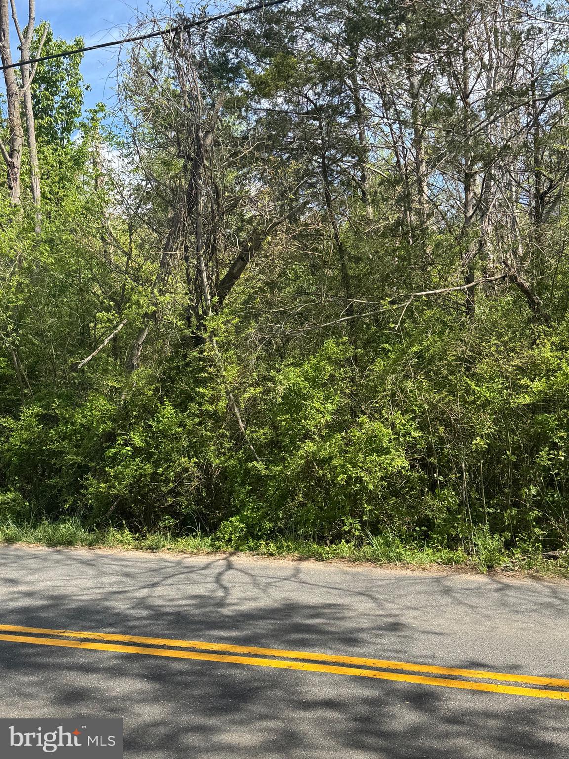 a view of a yard from a room