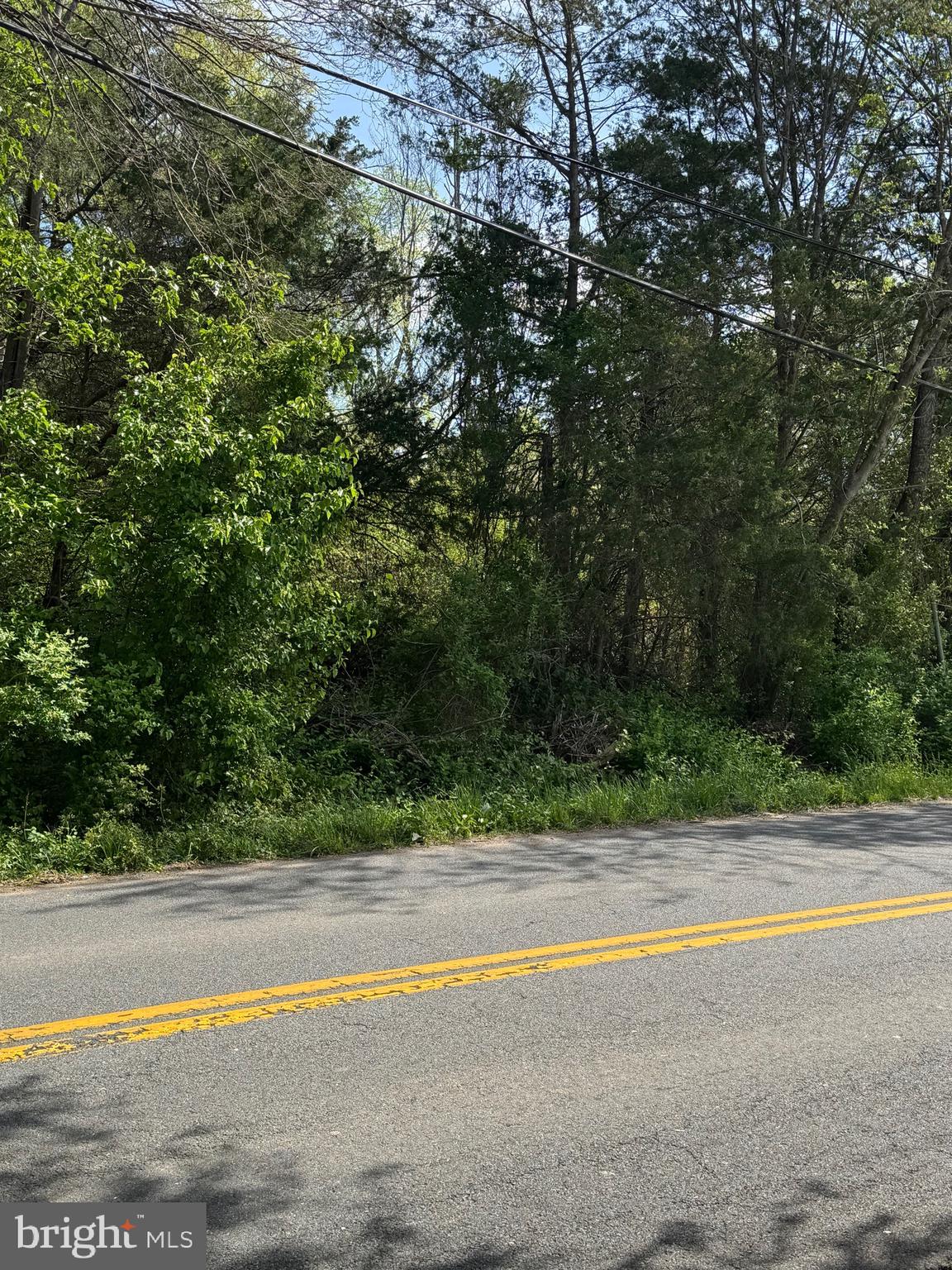 0 Duey Remington, VA 22734 - Photo 2 of 2 a view of swimming pool with a yard