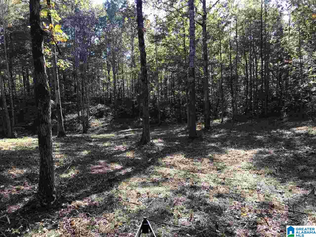0 County Road 546 Verbena, AL 36091 - Photo 10 of 13