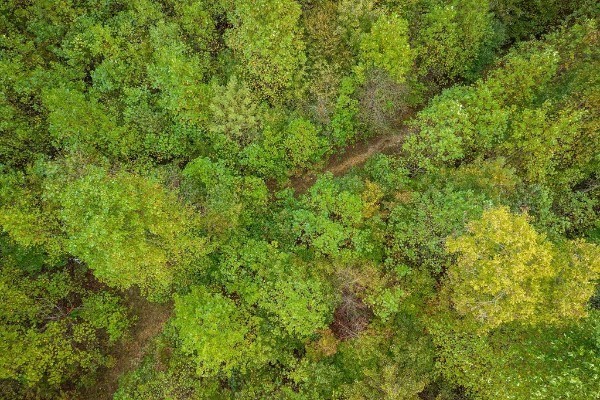 500 Moonlight Trail Sparta, TN 38583 - Photo 47 of 51