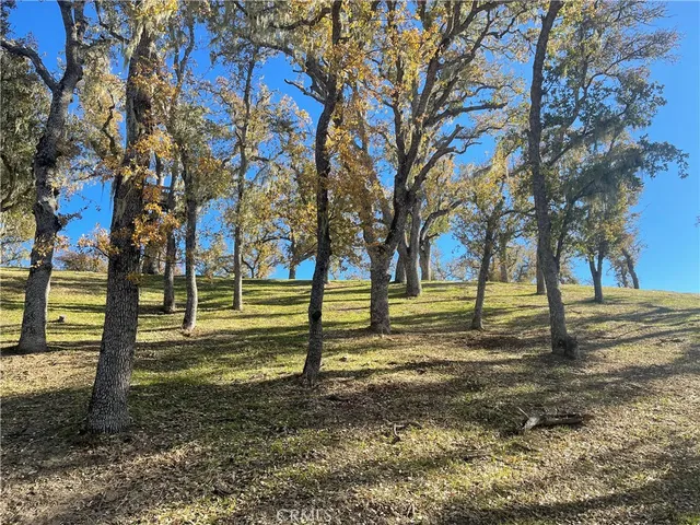a view of a yard with a tree