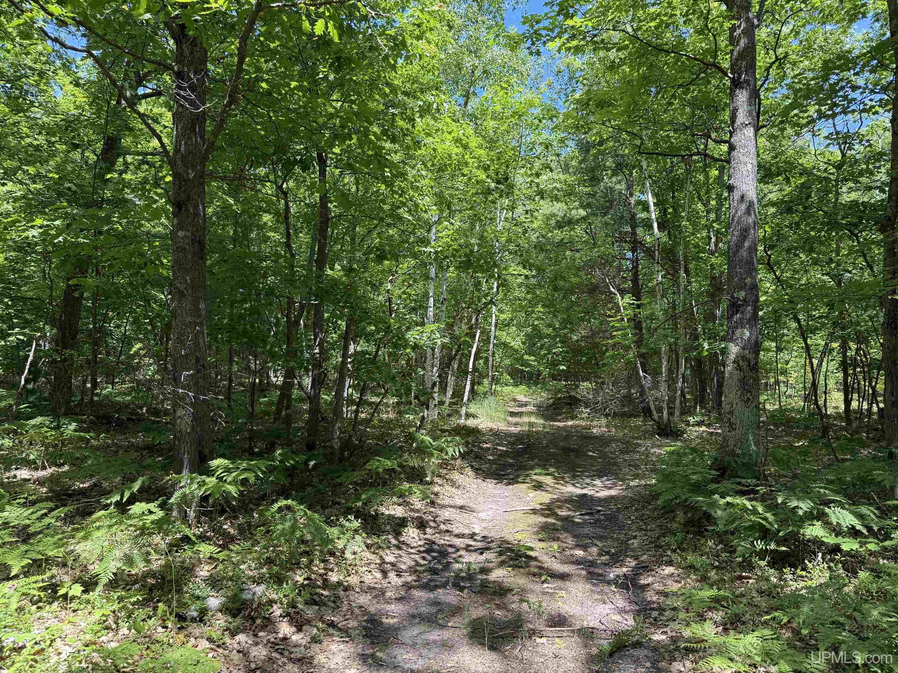 Tbd23 Senter Road Dollar Bay, MI 49922 - Photo 11 of 17
