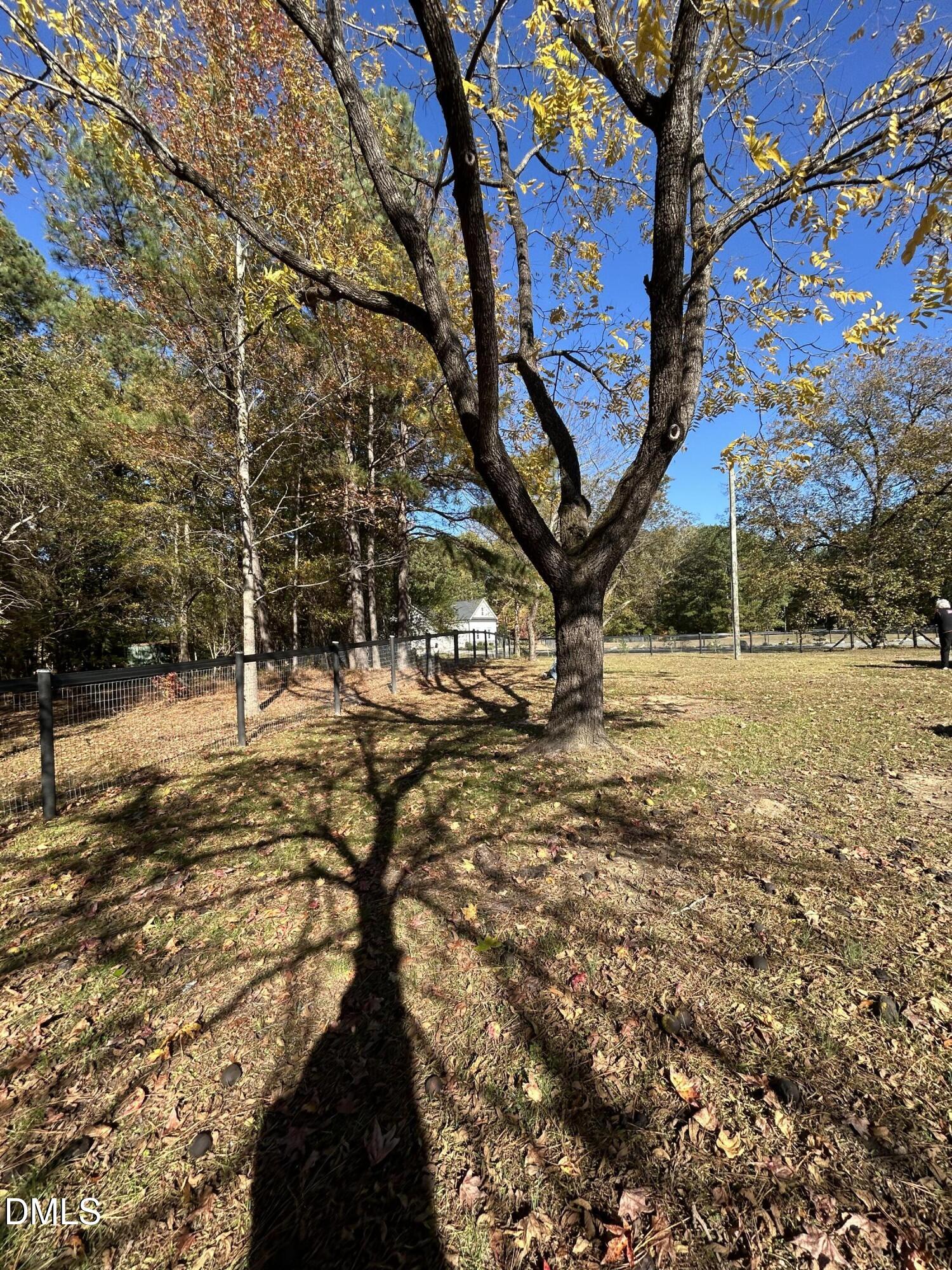 3105 Tump Wilkins Road Stem, NC 27581 - Photo 27 of 30 a view of yard