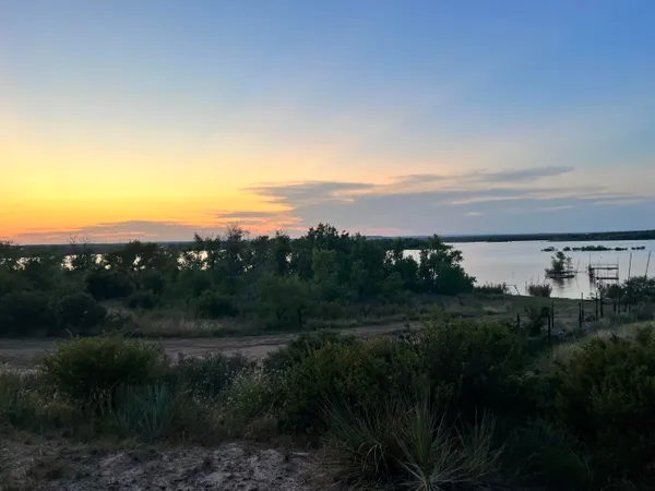a view of a city with green space