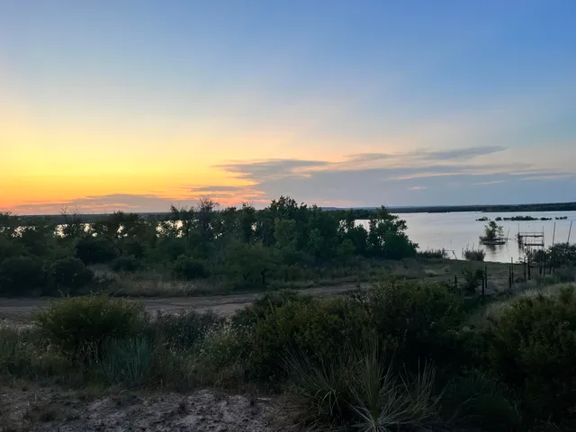 a view of a city with green space