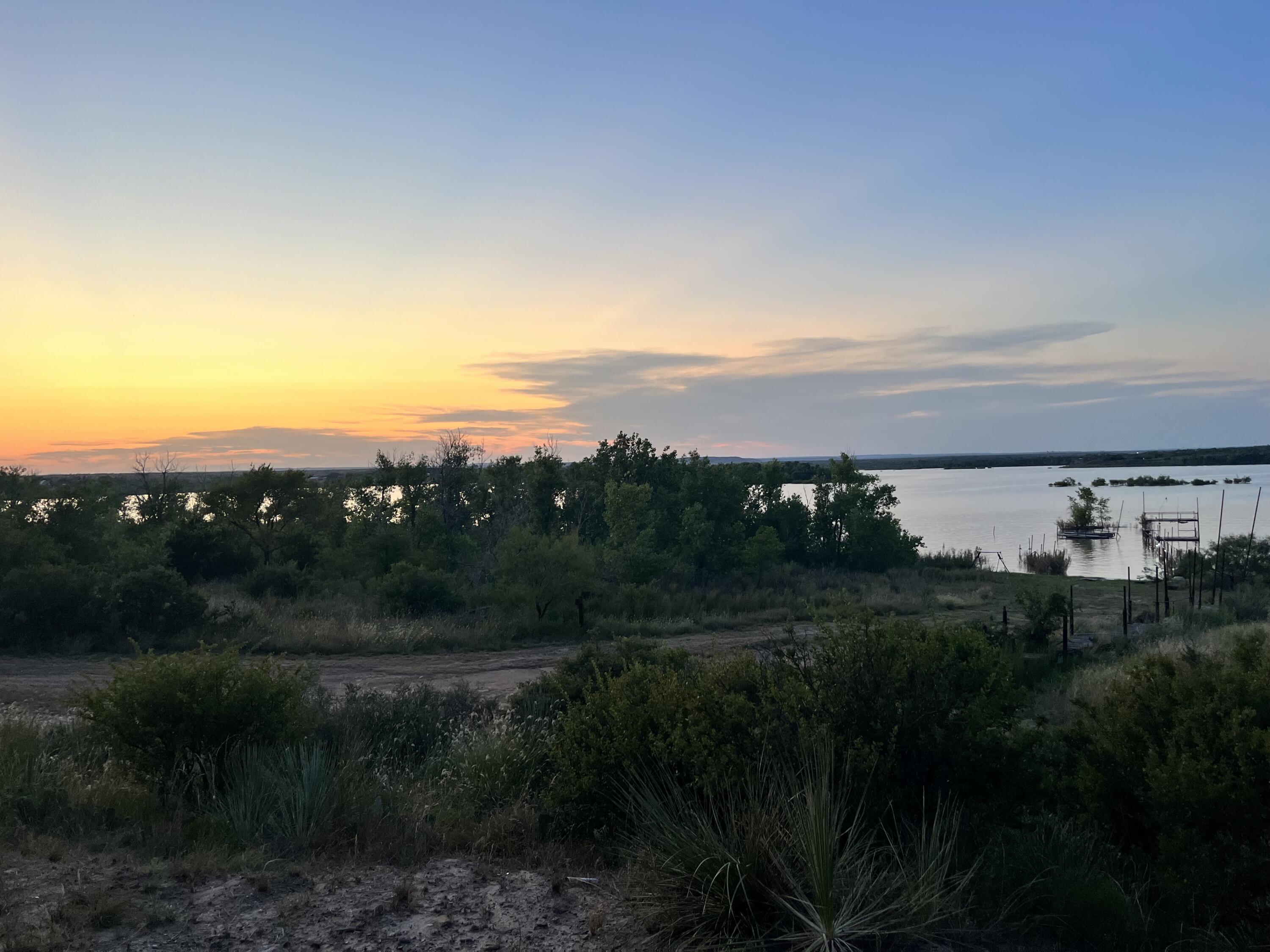 a view of a city with green space