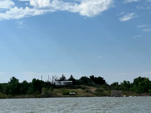 a view of ocean and trees