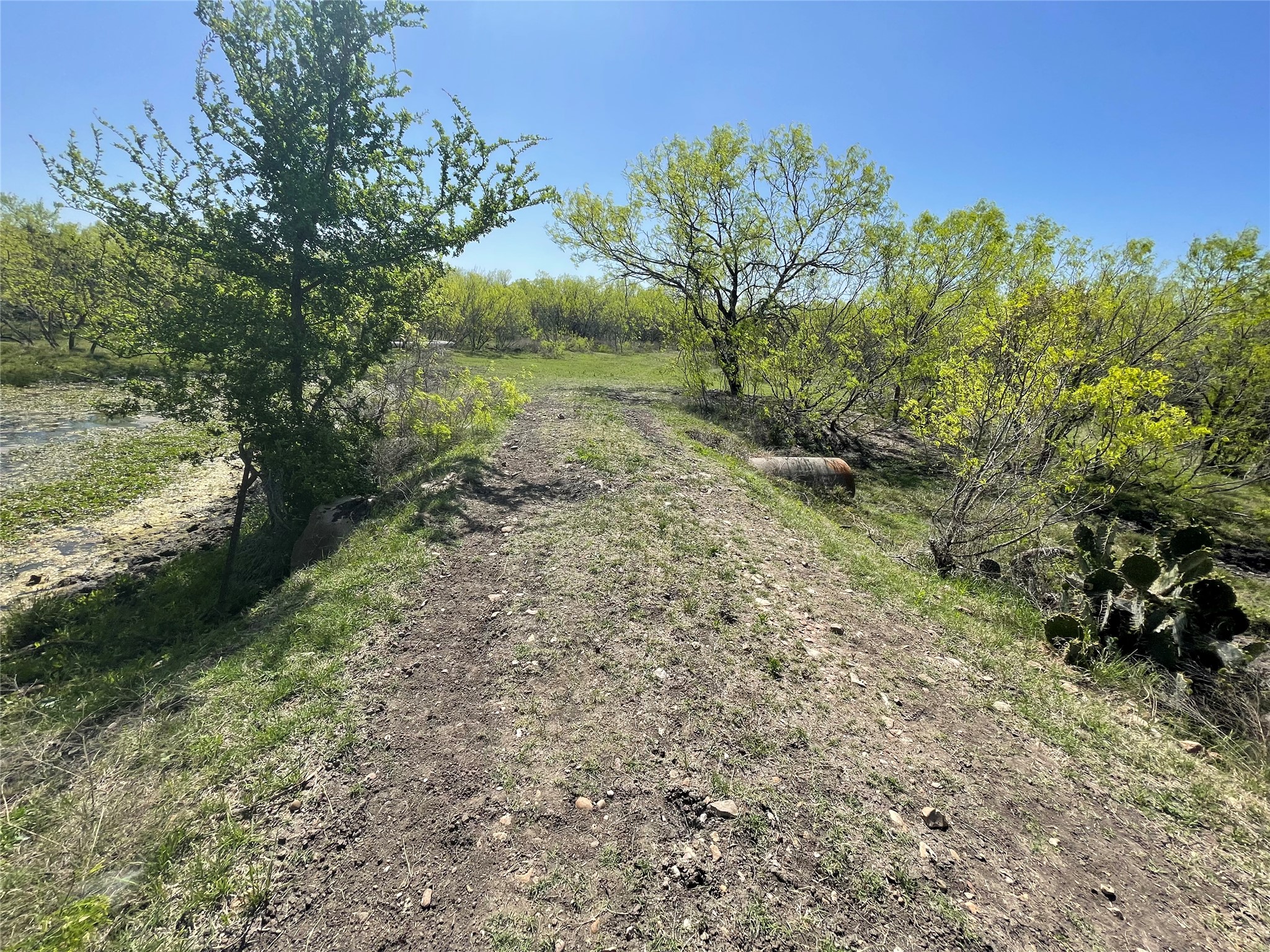 11319 Doyle Overton Road Del Valle, TX 78617 - Photo 13 of 20 View of nature