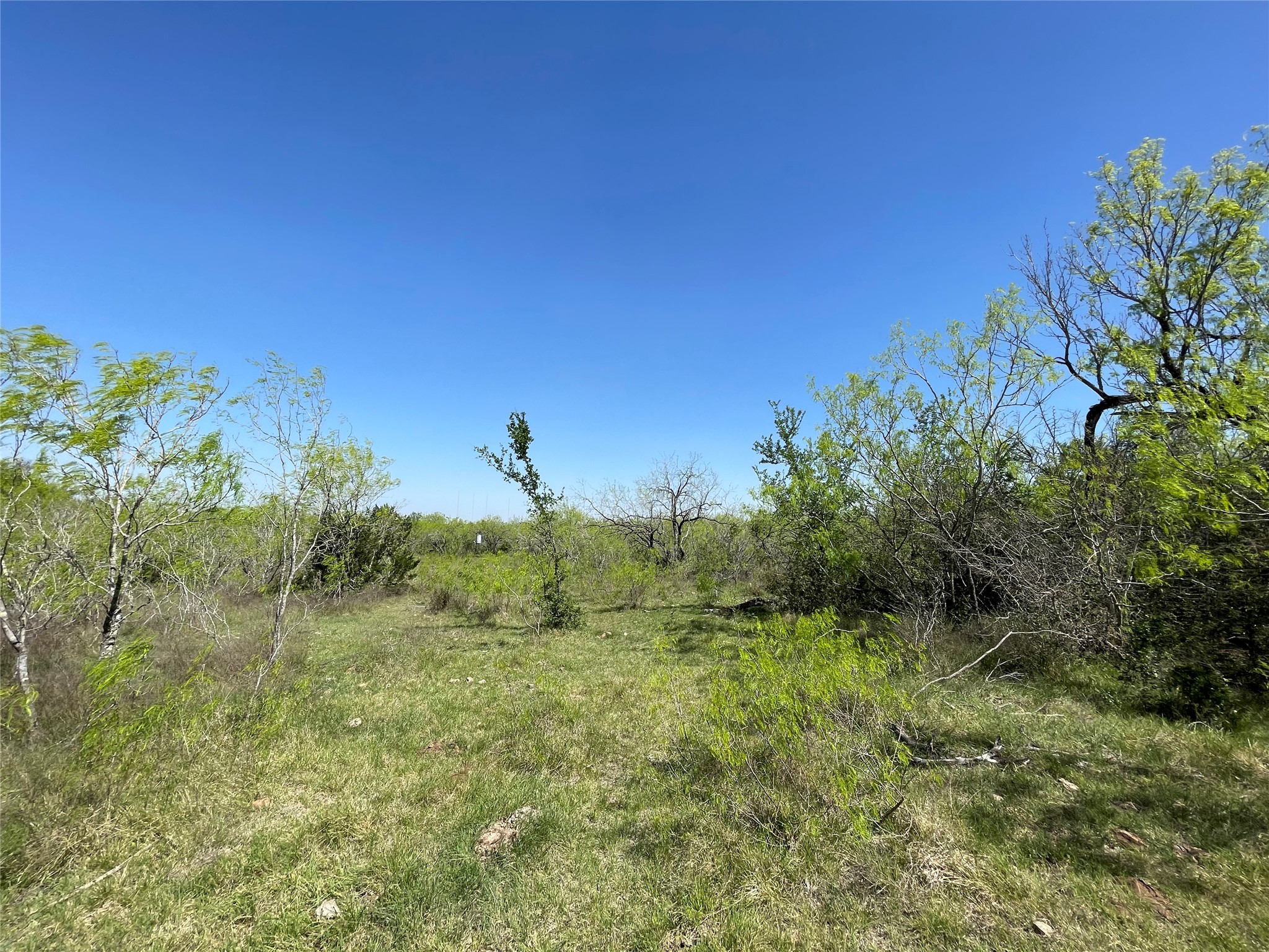11319 Doyle Overton Road Del Valle, TX 78617 - Photo 15 of 20 View of local wilderness