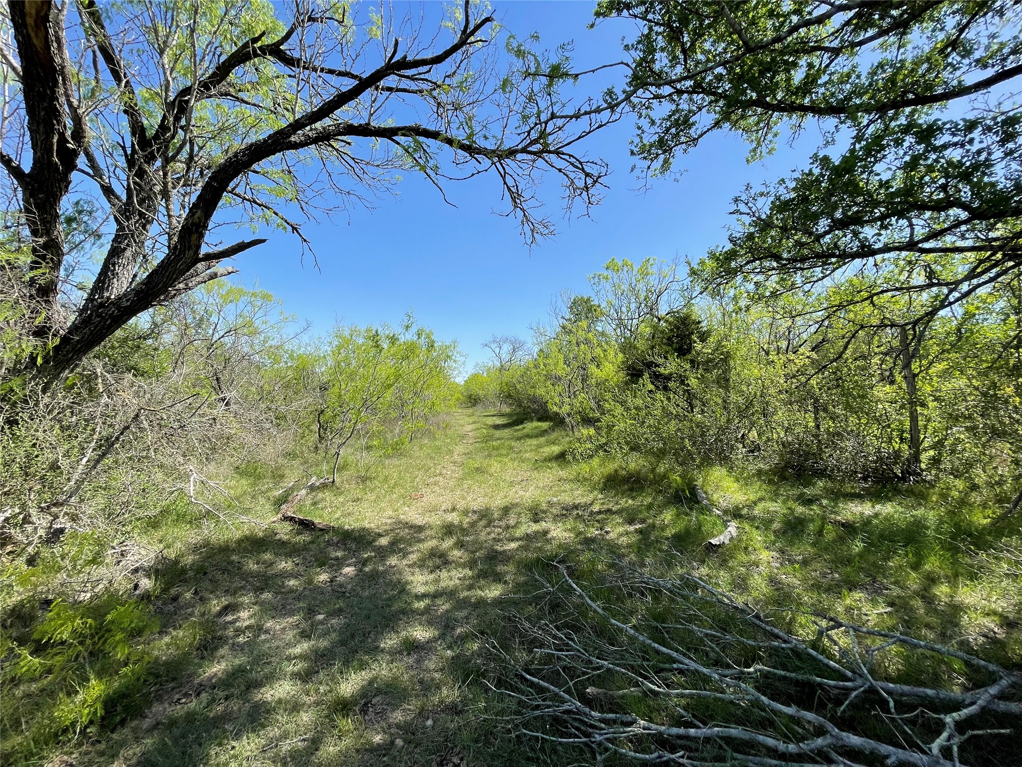 11319 Doyle Overton Road Del Valle, TX 78617 - Photo 16 of 20 View of undeveloped land