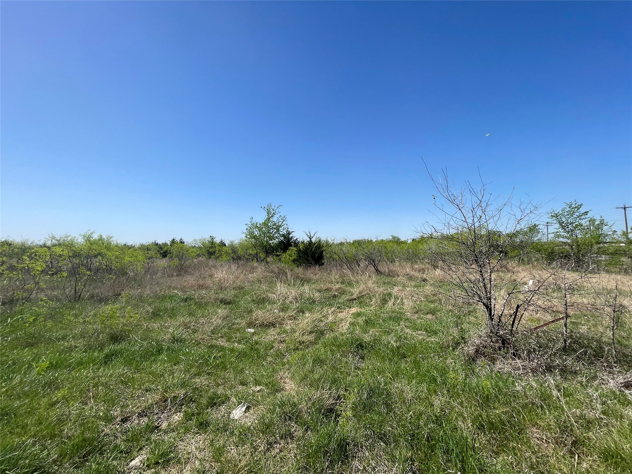 11319 Doyle Overton Road Del Valle, TX 78617 - Photo 6 of 20 View of local wilderness with rural landscape