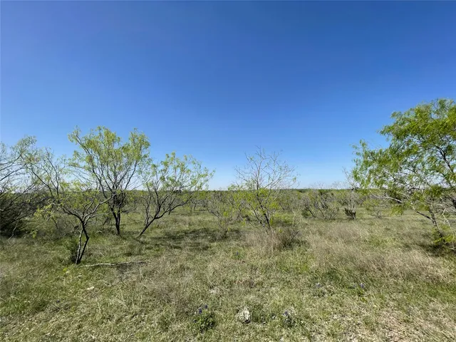 $3,000,000 | 11319 Doyle Overton Road, Del Valle, TX 78617