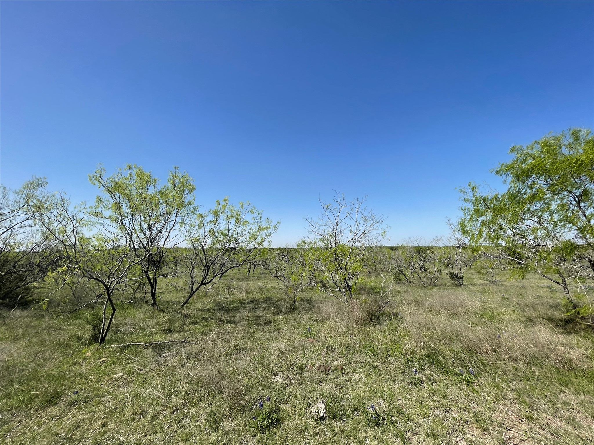 11319 Doyle Overton Road Del Valle, TX 78617 - Photo 8 of 20 View of undeveloped land featuring rural landscape