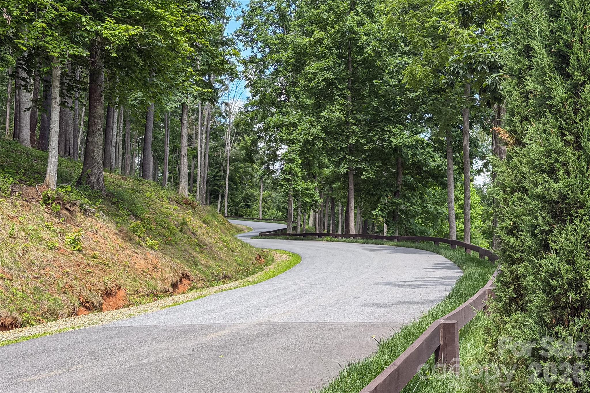 9999 Bear Vw Road Weaverville, NC 28787 - Photo 5 of 18