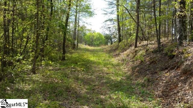 775 Goodwin Bridge Road Travelers Rest, SC 29690 - Photo 2 of 6