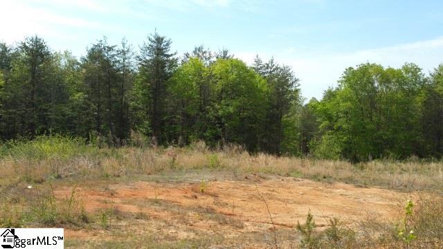 775 Goodwin Bridge Road Travelers Rest, SC 29690 - Photo 3 of 6