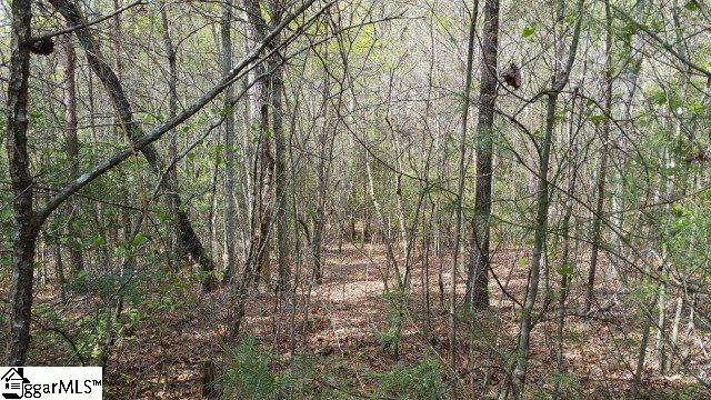 775 Goodwin Bridge Road Travelers Rest, SC 29690 - Photo 4 of 6