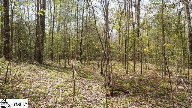 775 Goodwin Bridge Road Travelers Rest, SC 29690 - Photo 5 of 6