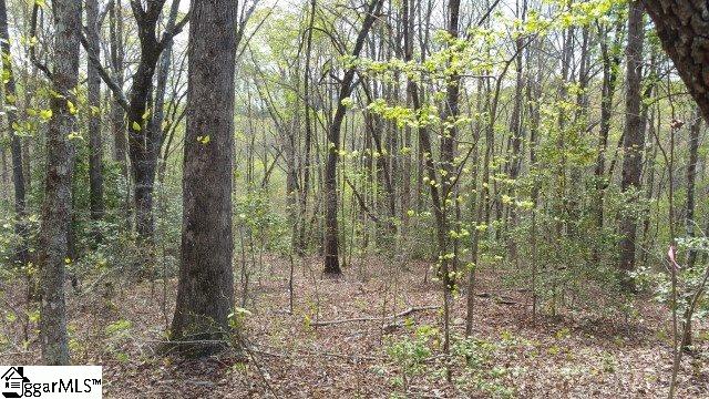 775 Goodwin Bridge Road Travelers Rest, SC 29690 - Photo 6 of 6