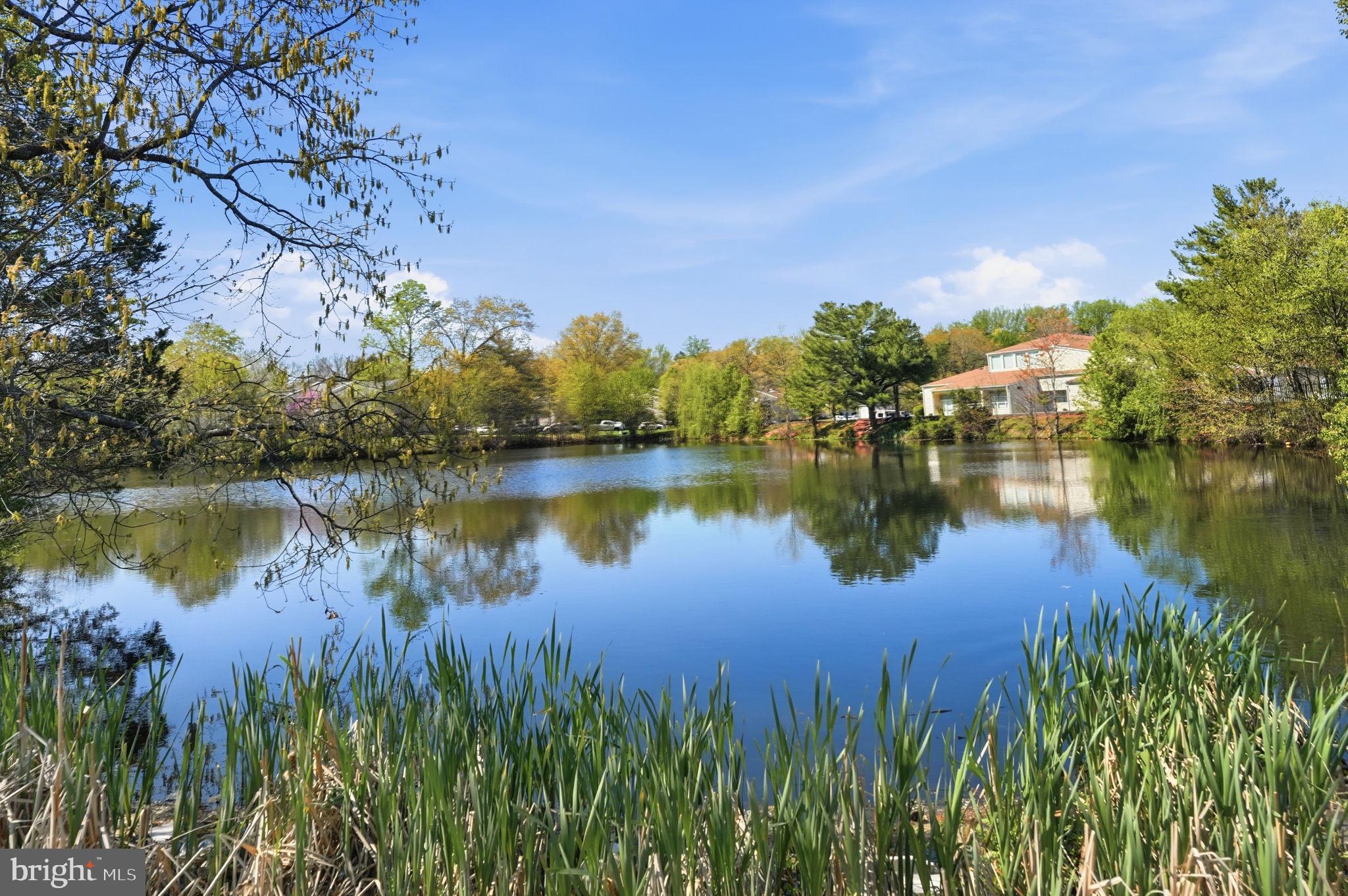 181 North Cottage Road Sterling, VA 20164 - Photo 33 of 41 a view of lake with green space