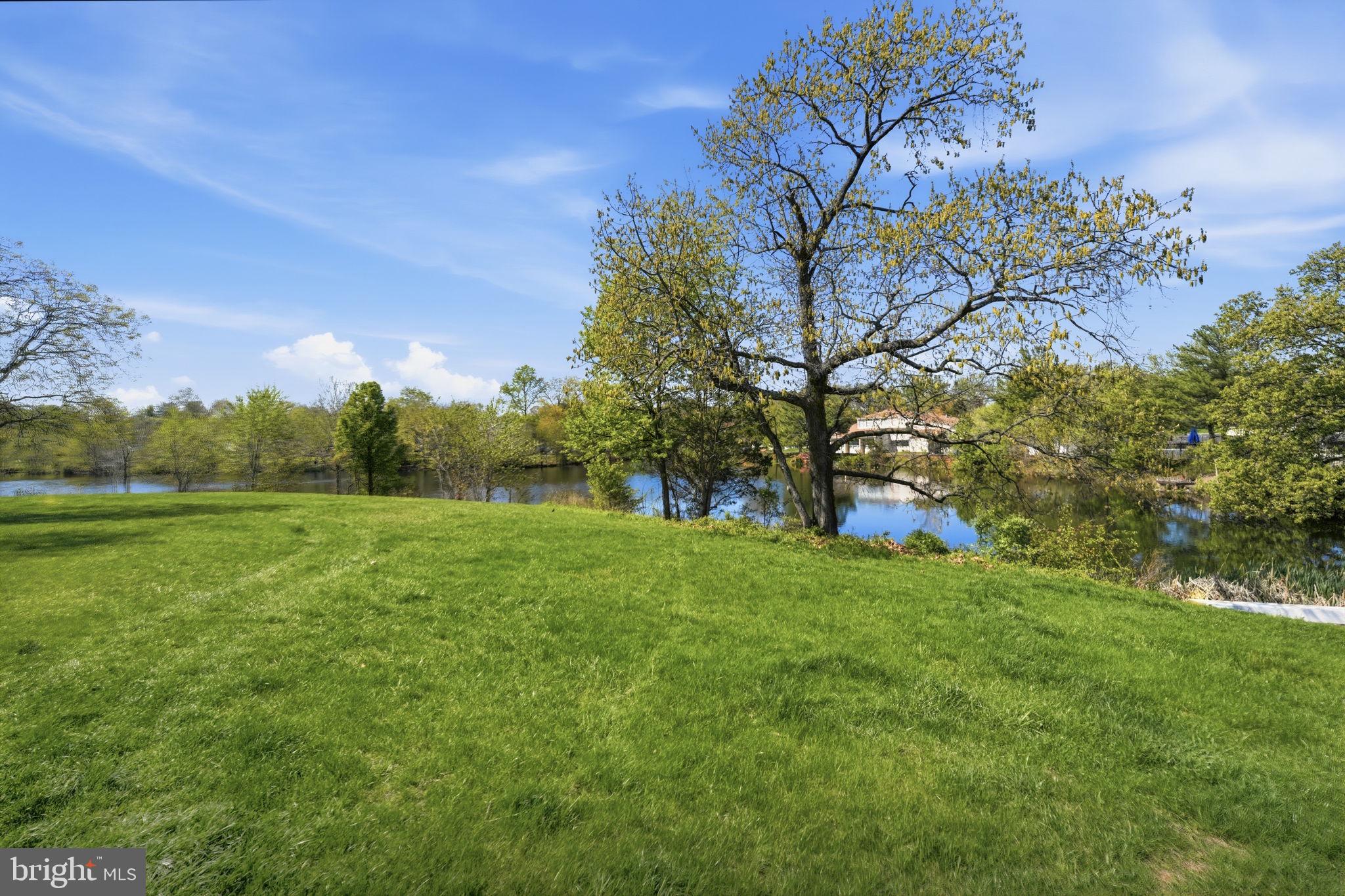 181 North Cottage Road Sterling, VA 20164 - Photo 35 of 41 a view of a field with large trees