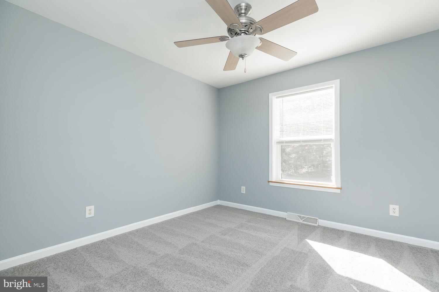 534 Perry Road Winchester, VA 22602 - Photo 17 of 25 Bedroom 2 New Carpet