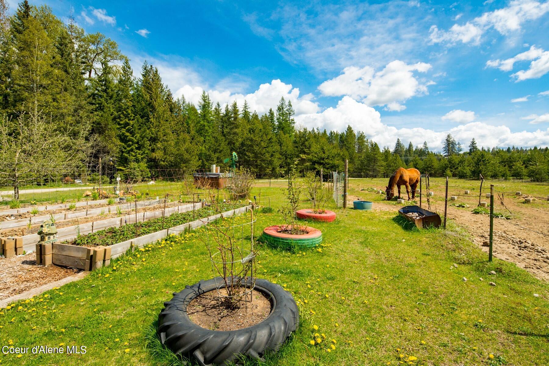 181 Calypso Lane Sandpoint, ID 83864 - Photo 60 of 61 Garden