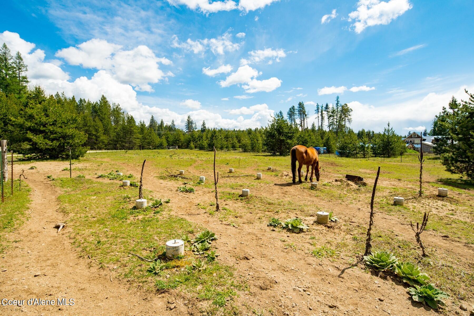 181 Calypso Lane Sandpoint, ID 83864 - Photo 61 of 61 Lawnmower