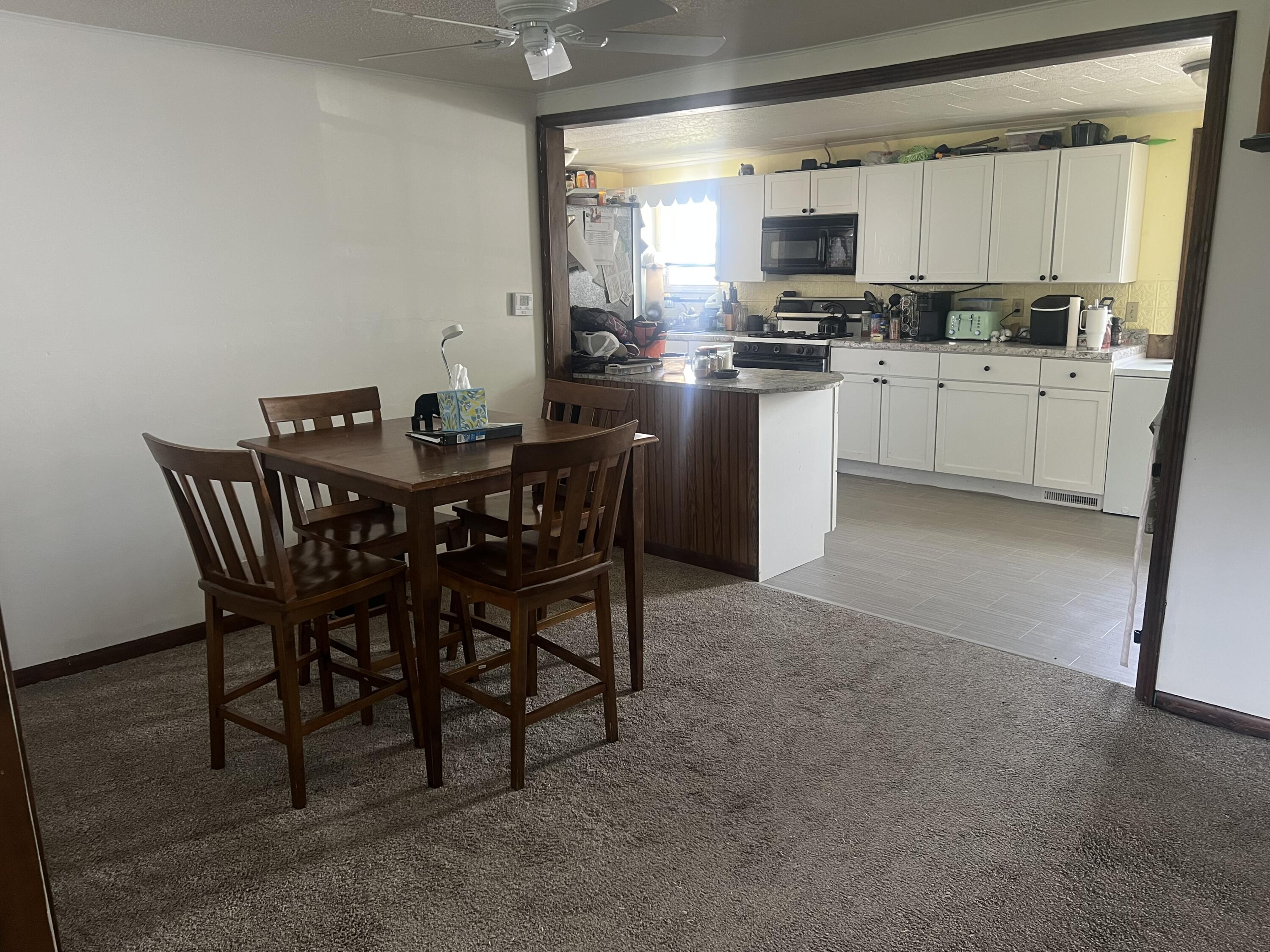 228 West Forest Street Edmore, MI 48829 - Photo 11 of 14 IMG_8803