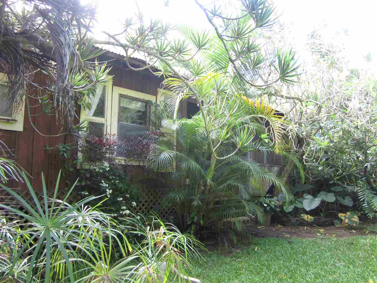 1085 West Kuiaha Road Haiku, HI 96708 - Photo 3 of 23 a view of a garden