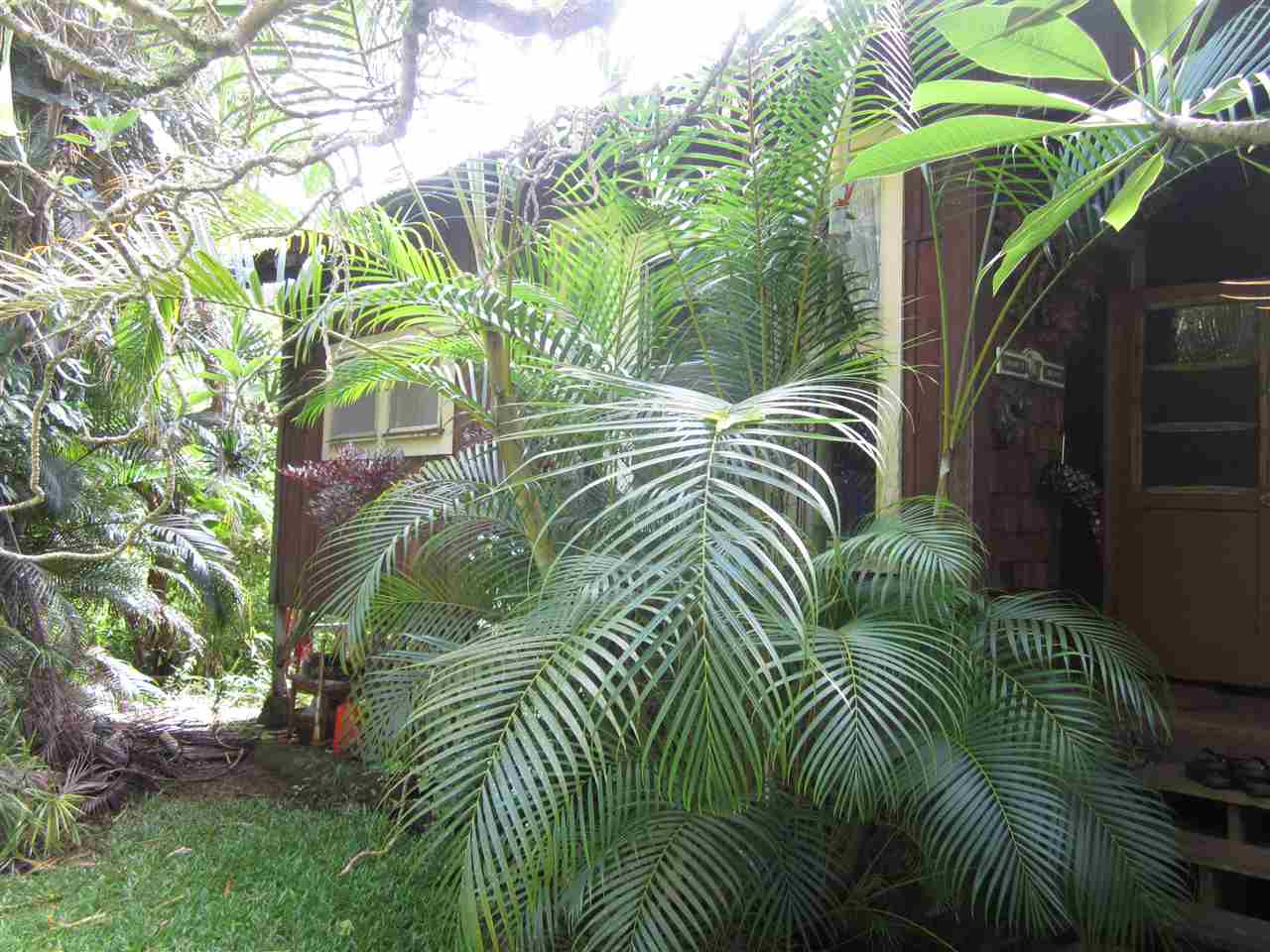 1085 West Kuiaha Road Haiku, HI 96708 - Photo 4 of 23 a view of outdoor area with chairs