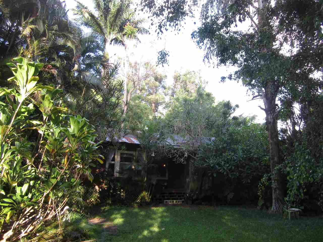 1085 West Kuiaha Road Haiku, HI 96708 - Photo 5 of 23 a view of a house with a tree