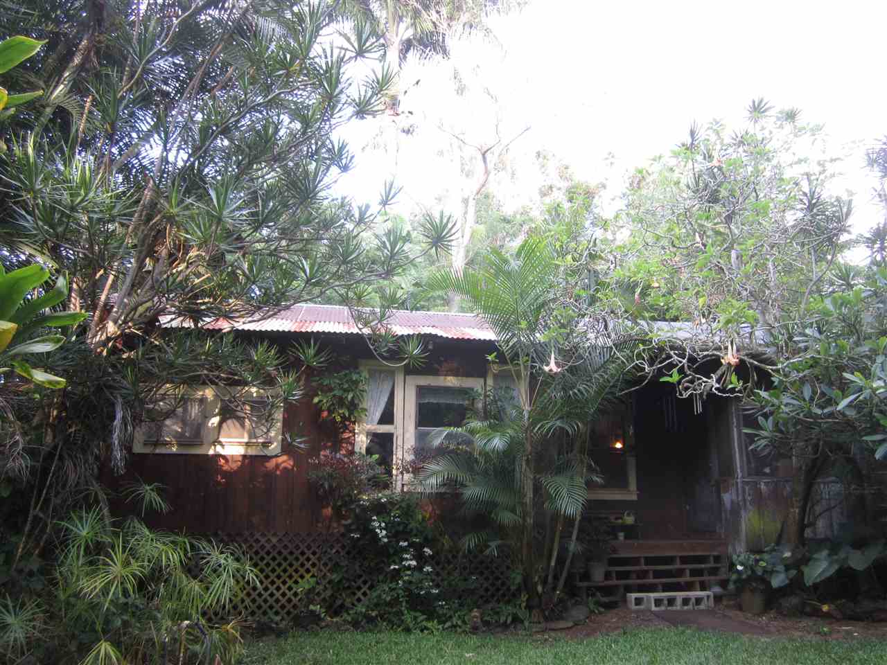 1085 West Kuiaha Road Haiku, HI 96708 - Photo 6 of 23 a view of a patio with table and chairs under an umbrella