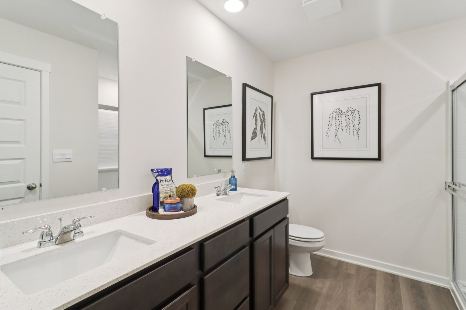 1744 Stable Lane Aurora, IL 60503 - Photo 24 of 34 a bathroom with double sink and a toilet