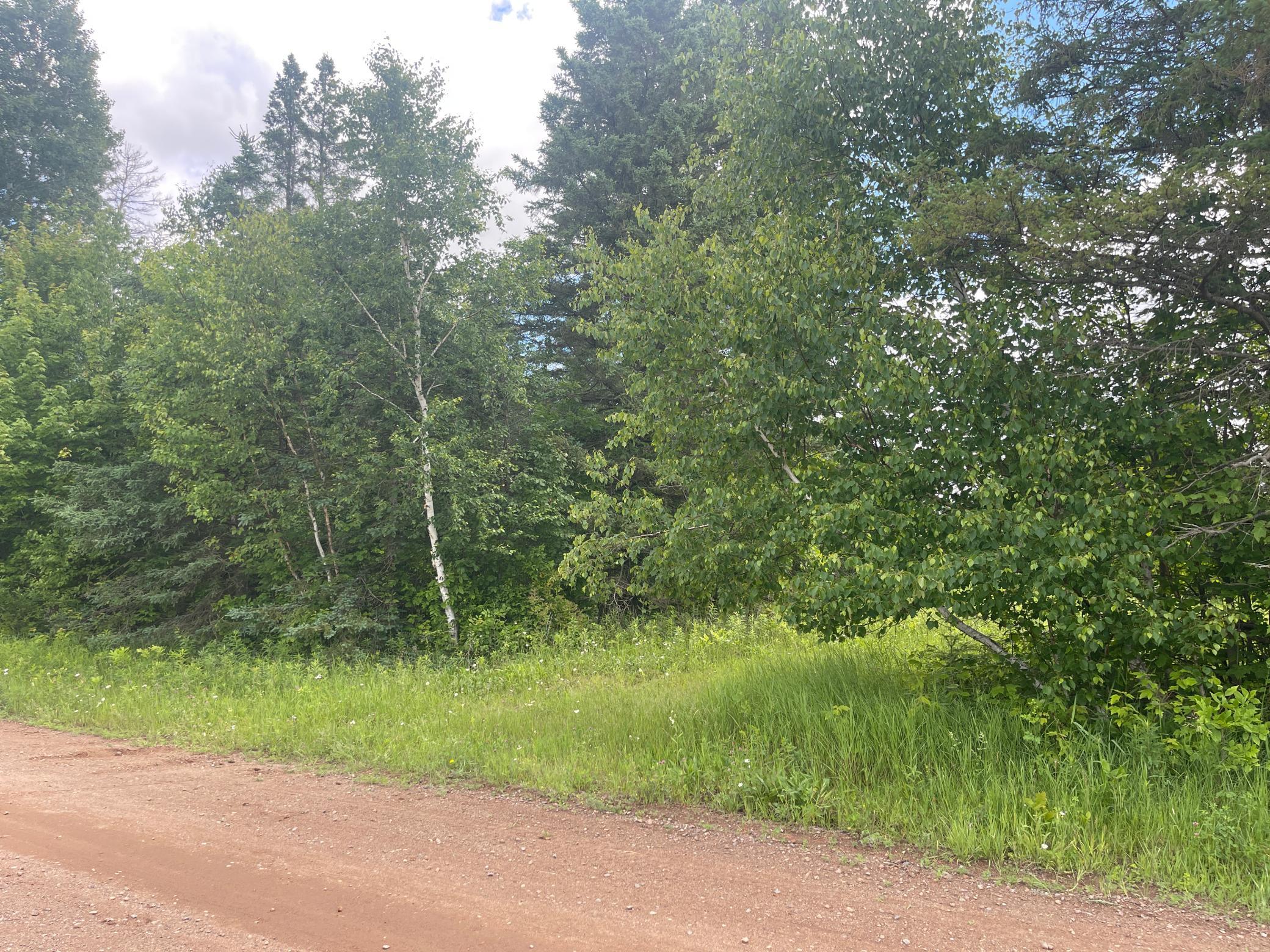 Tbd Sjodahl Road Sandstone, MN 55072 - Photo 12 of 15