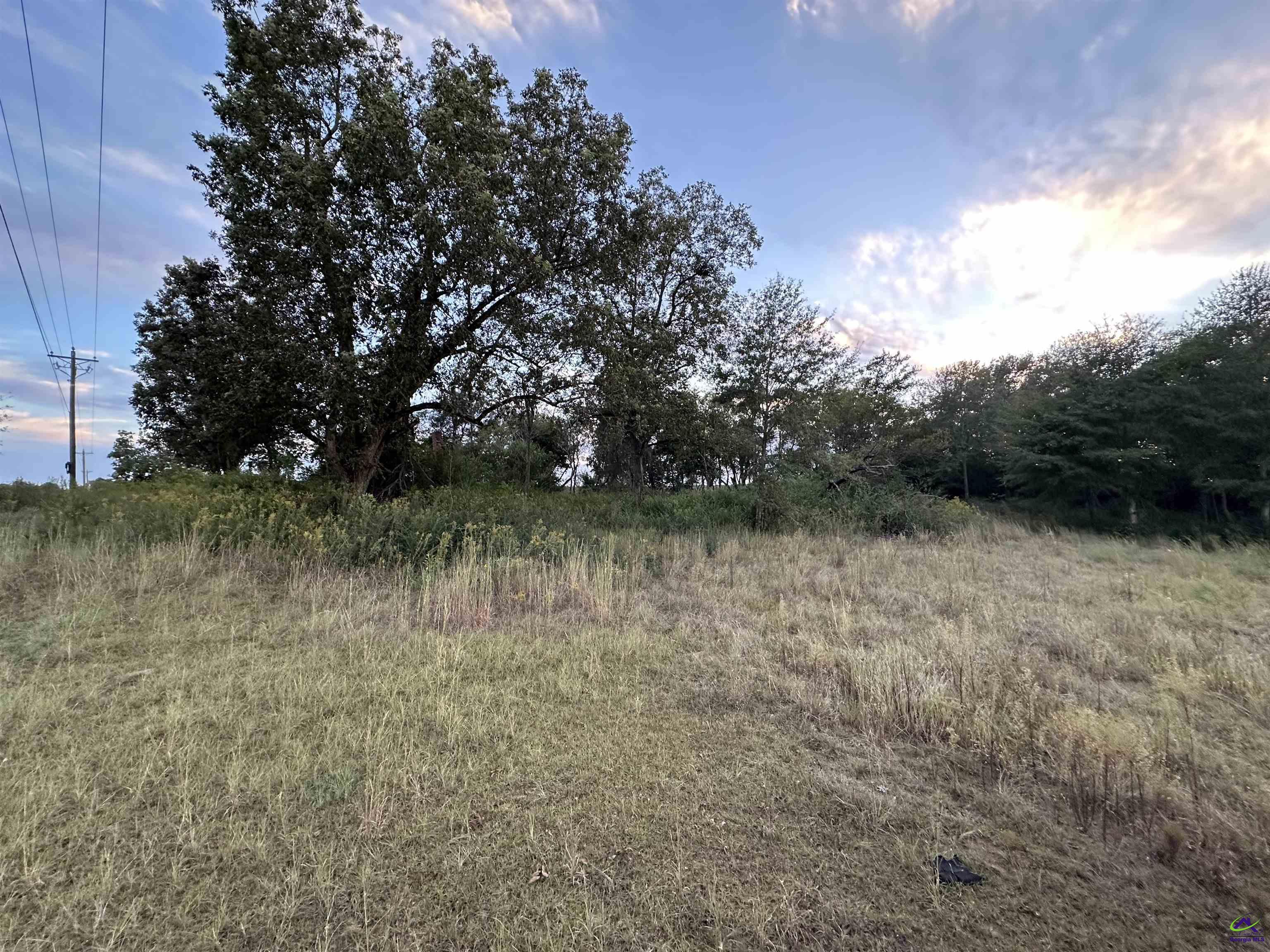 Lot#16 Southwest 5.49 Acres) Elko Road Elko, GA 31025 - Photo 7 of 10