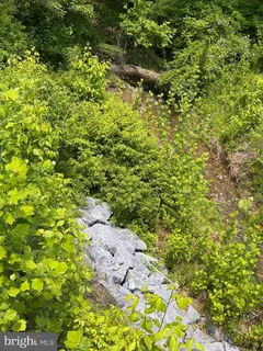 $49,500 | Potomac, Brunswick, MD 21716