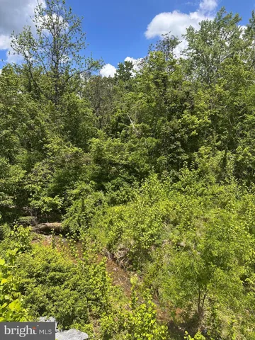 $49,500 | Potomac, Brunswick, MD 21716