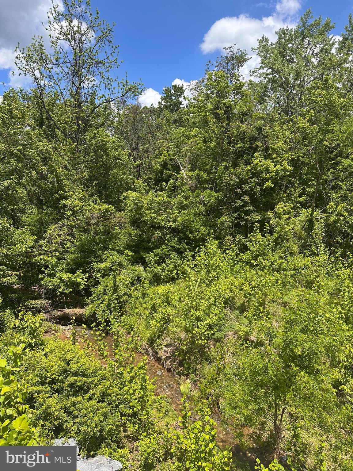 Potomac Brunswick, MD 21716 - Photo 2 of 2