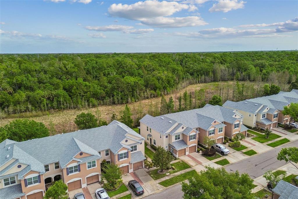 26527 Castleview Way Wesley Chapel, FL 33544 - Photo 32 of 45 an aerial view of multiple house