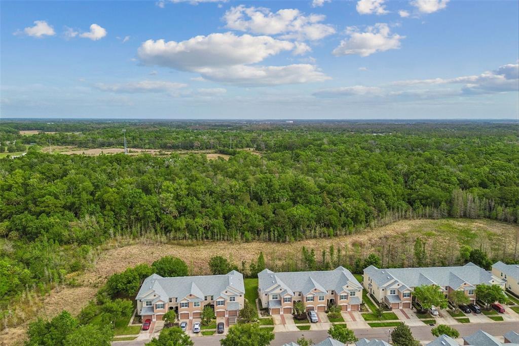 26527 Castleview Way Wesley Chapel, FL 33544 - Photo 42 of 45 a view of a city
