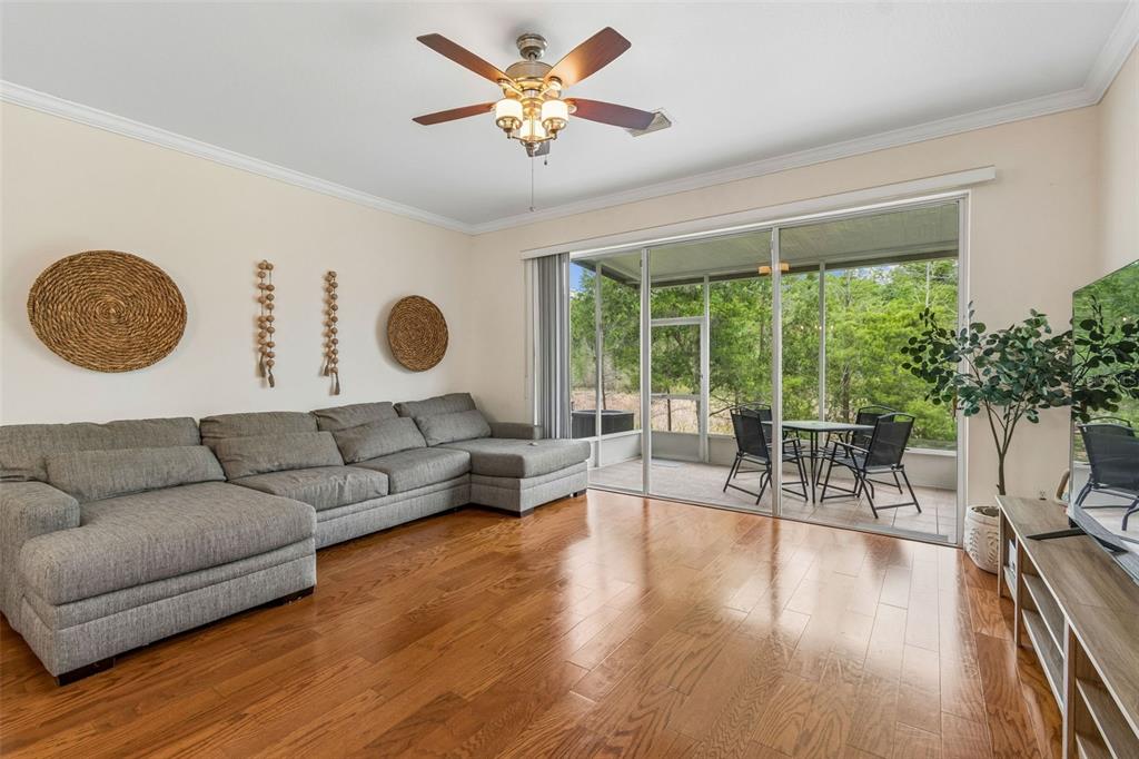 26527 Castleview Way Wesley Chapel, FL 33544 - Photo 8 of 45 a living room with furniture and a large window